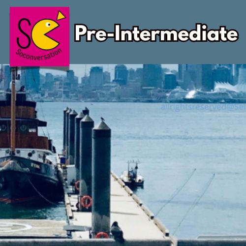 Pre-Intermadiate Level