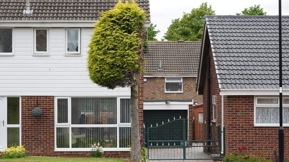 (Funny stories) Tree cut in half in neighbour row over driveway pigeon poo